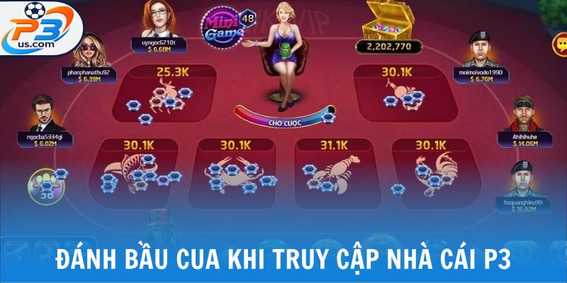 Đánh bầu cua khi truy cập nhà cái P3
