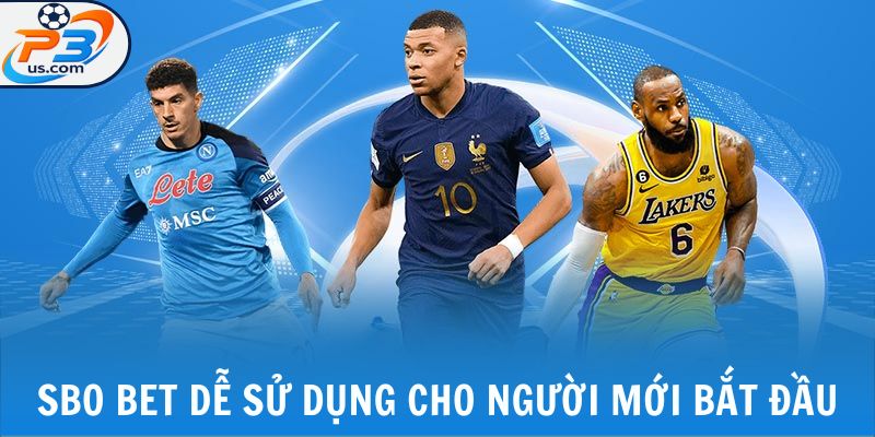 SBO BET - Sân Chơi Đỉnh Cao Châu Á, Cá Cược Đa Dạng 4 SBO BET dễ sử dụng cho người mới bắt đầu